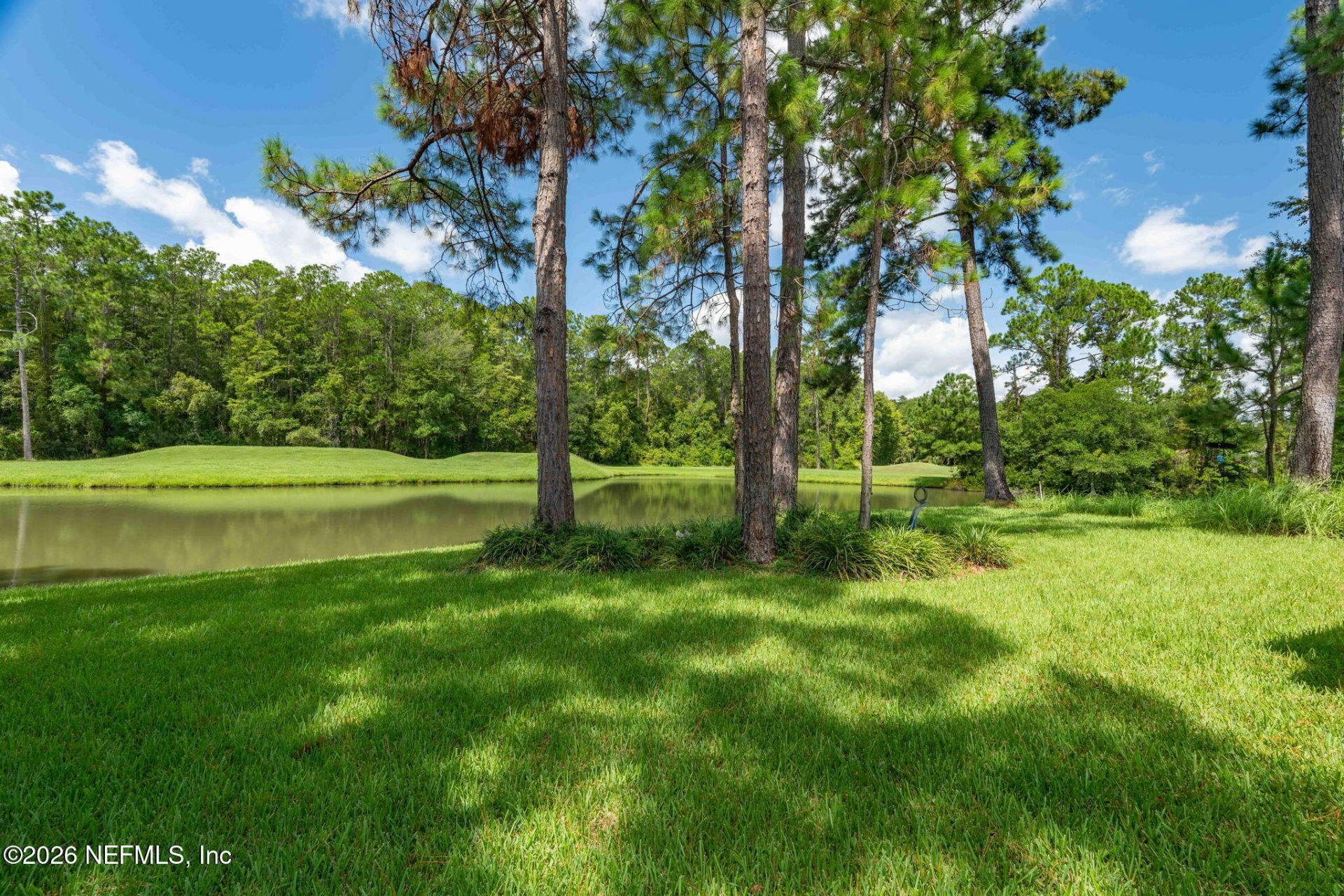 3626 Mammaroneck Court, Green Cove Springs, FL 32043 Photo