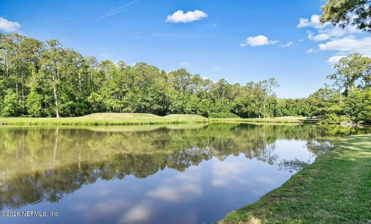 3626 Mammaroneck Court, Green Cove Springs, FL 32043 Photo