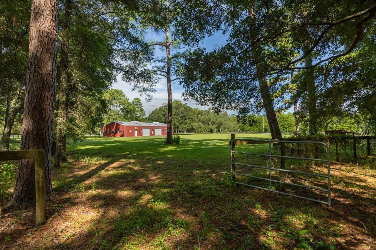 16350 NE 53rd Lane, Williston, FL 32696 Photo