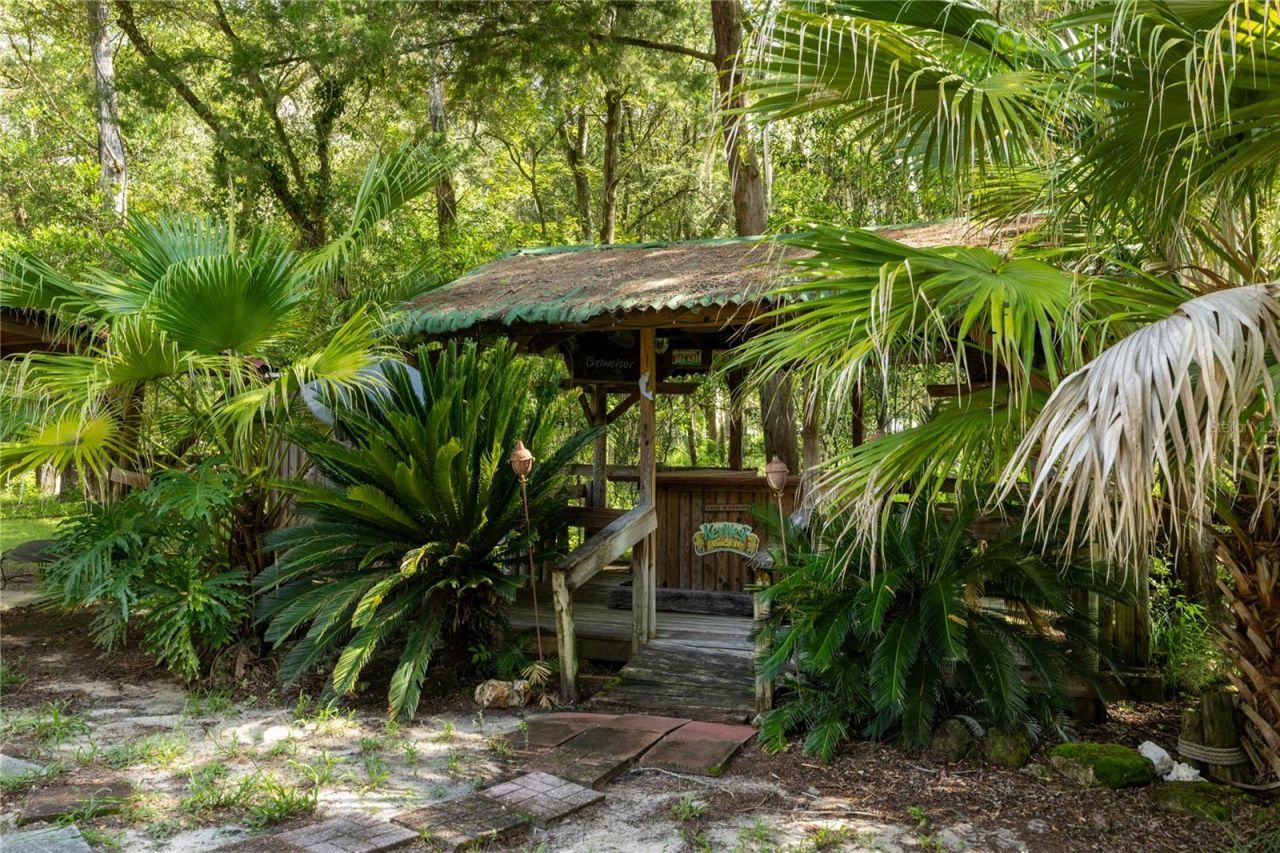 16350 NE 53rd Lane, Williston, FL 32696 Photo
