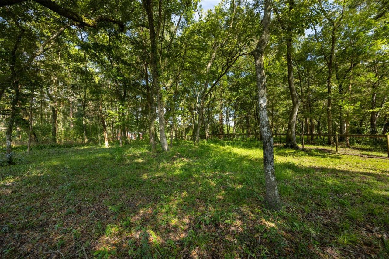 16350 NE 53rd Lane, Williston, FL 32696 Photo