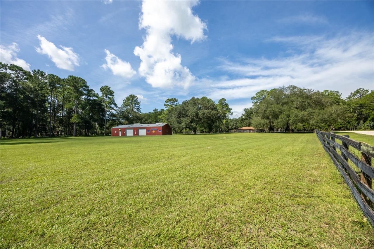 16350 NE 53rd Lane, Williston, FL 32696 Photo