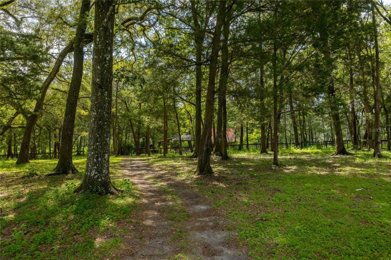 16350 NE 53rd Lane, Williston, FL 32696 Photo