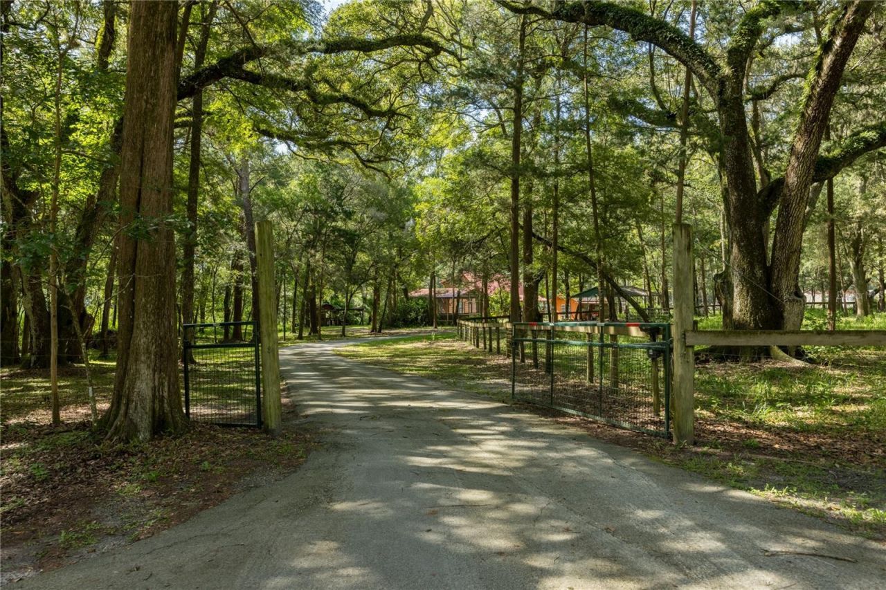 16350 NE 53rd Lane, Williston, FL 32696 Photo