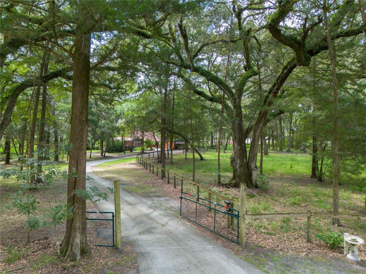 16350 NE 53rd Lane, Williston, FL 32696 Photo
