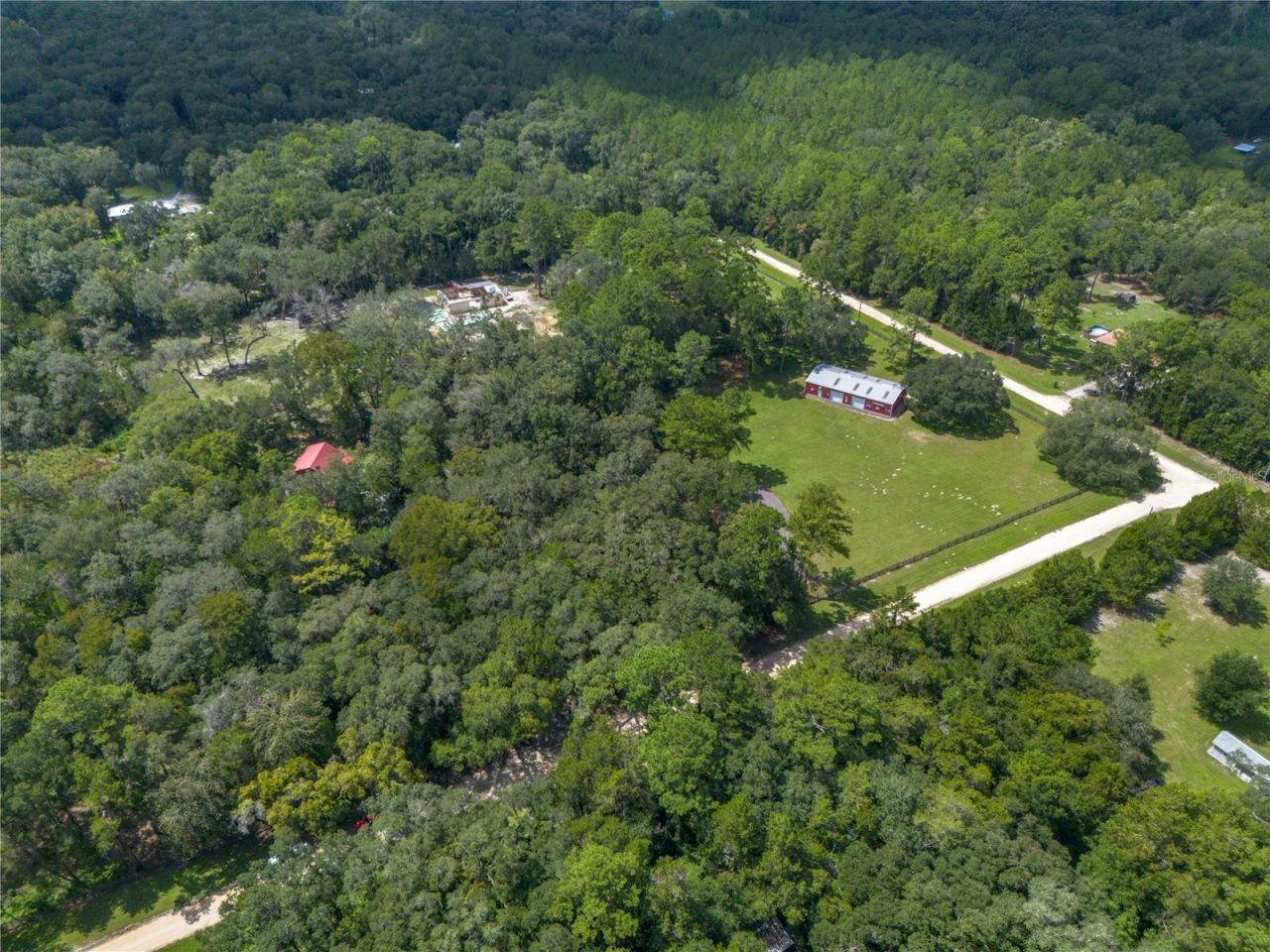 16350 NE 53rd Lane, Williston, FL 32696 Photo