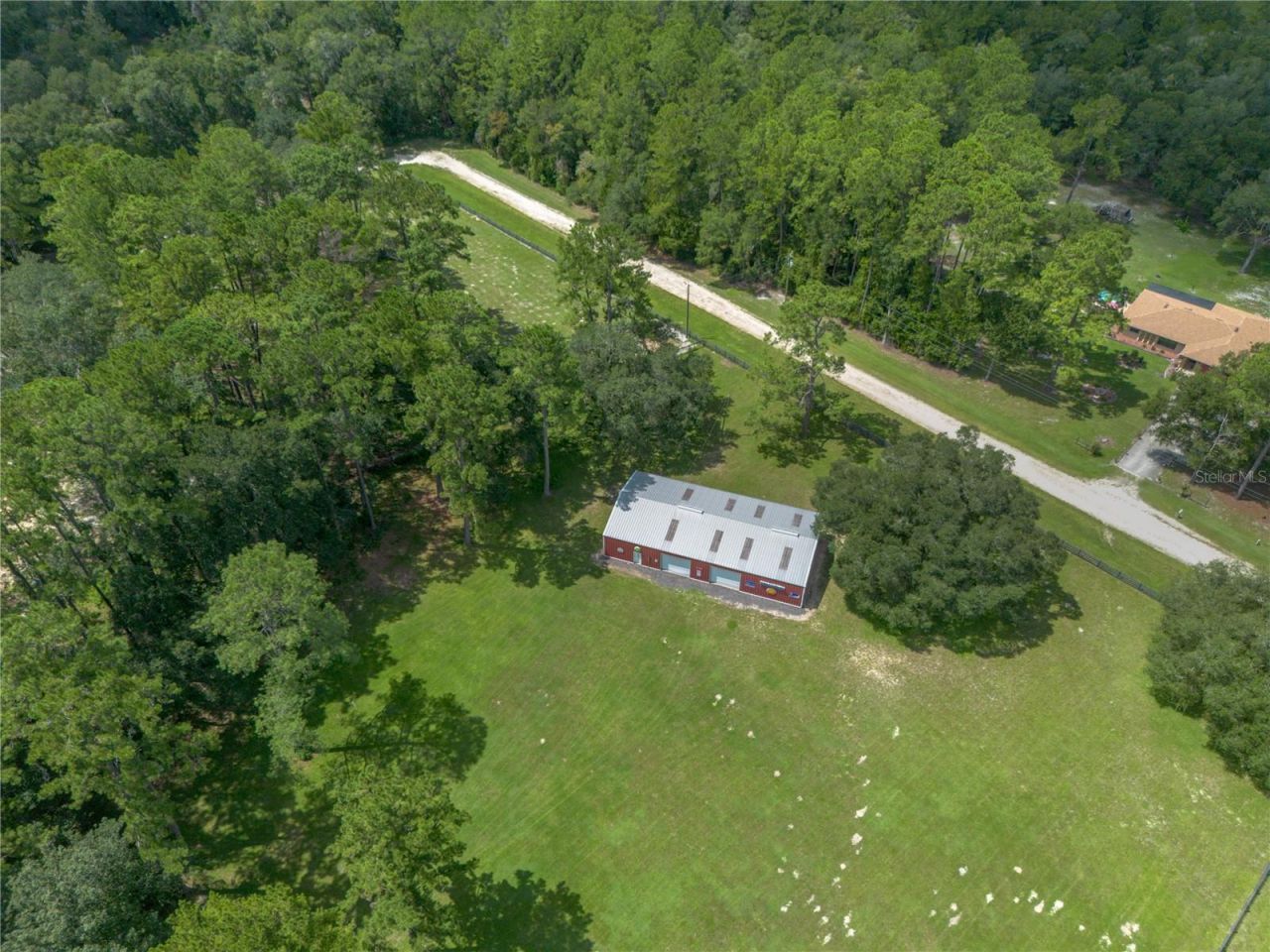 16350 NE 53rd Lane, Williston, FL 32696 Photo