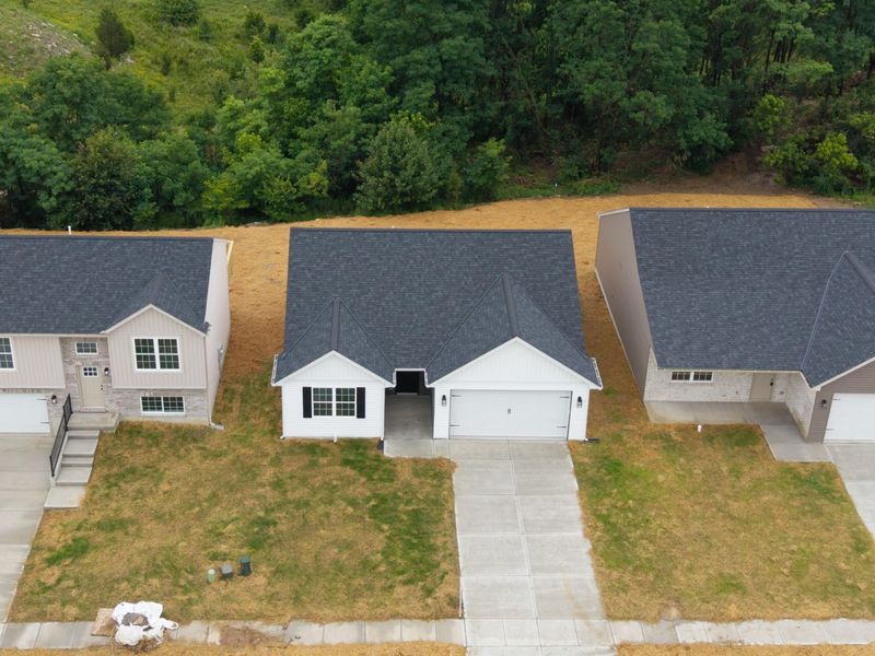 124 Belmont Court, Williamstown, KY 41097 Photo 3