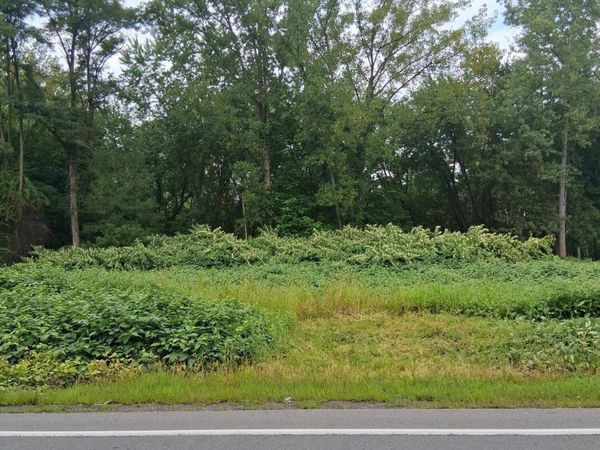 1266 N River Street, Plains, PA 18702