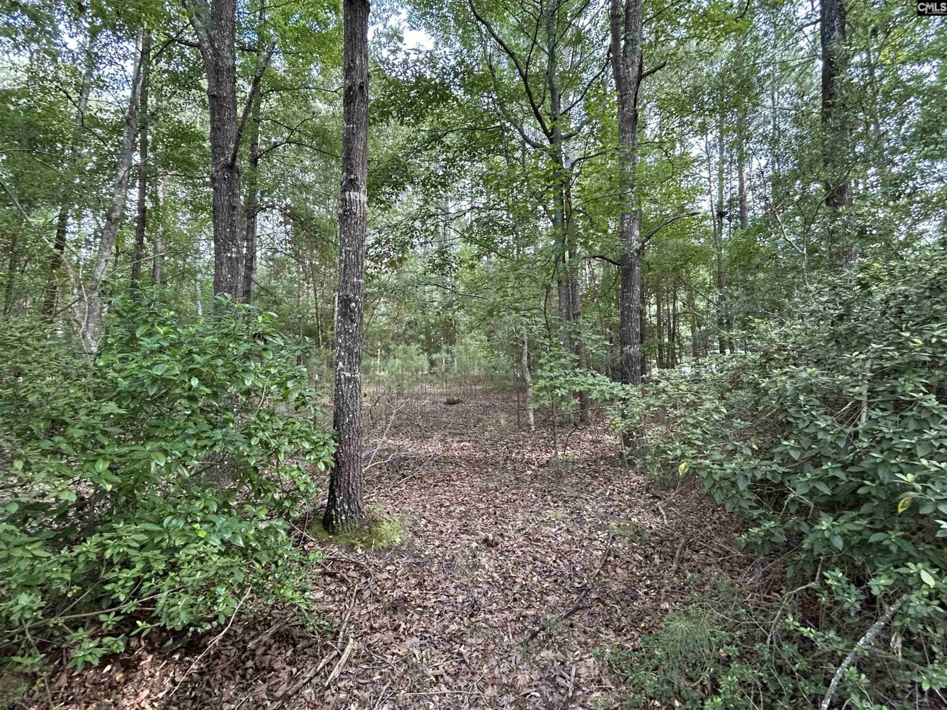 1043 Old Bush River Road  Photo 22