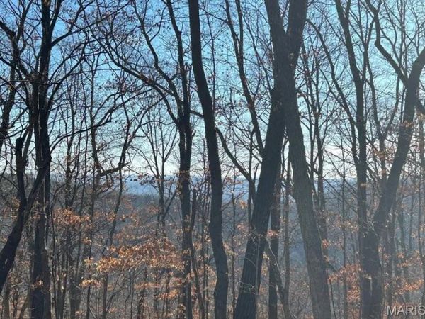406 Big River View, Eureka, MO 63025