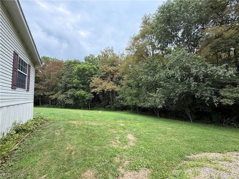 316 Cherie Avenue, Richmond, OH 43944 Photo 19