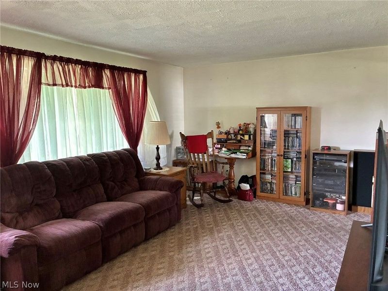 21 Sarah Boulevard, Toronto, OH 43964 Photo 14