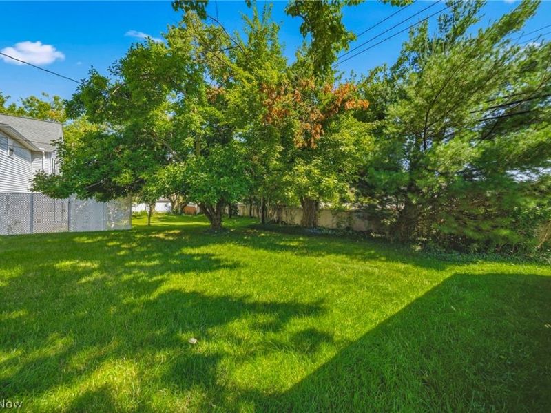 1411 Orchard Heights Drive, Mayfield Heights, OH 44124 Photo 27