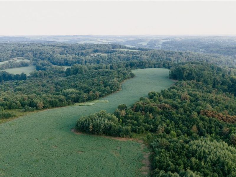 Nickel Road, Salineville, OH 43945 Photo 2