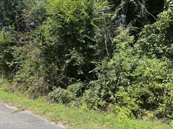 726 Brookhill Drive, Etowah, TN 37331