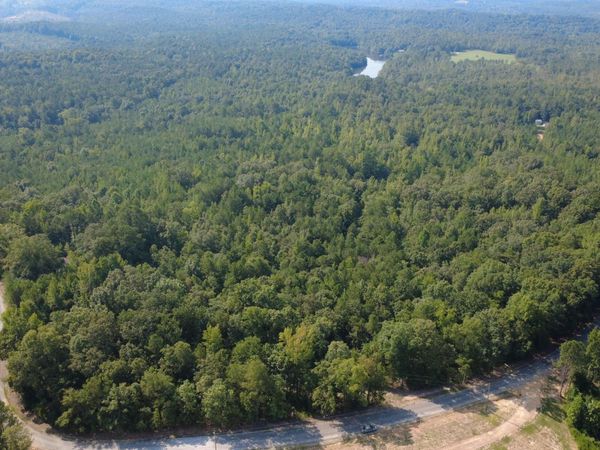 0 MORTON CHAPEL Rd, Vernon, AL 35592