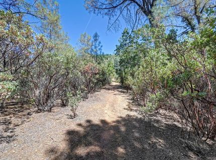 19040 Placer Hills Rd, Meadow Vista, CA 95722 Photo
