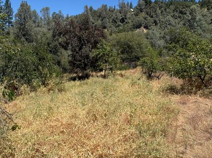 19040 Placer Hills Rd, Meadow Vista, CA 95722 Photo