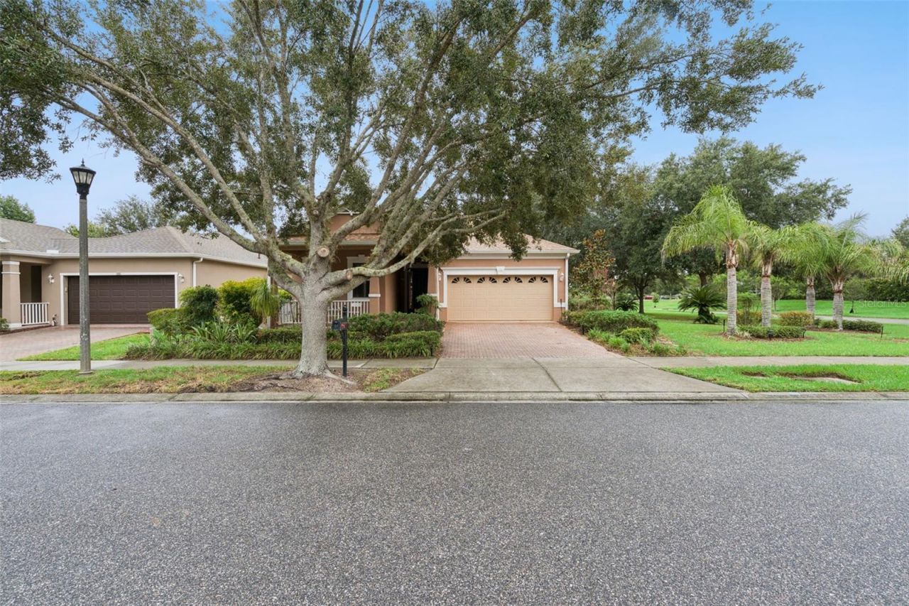 100 Flame Vine Way, Groveland, FL 34736 Photo