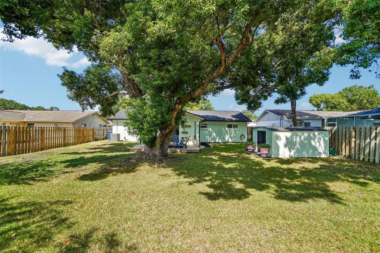 3420 Paloma Drive , Holiday, FL 34690 Photo