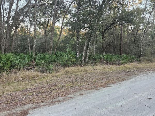 ROSEHILL DRIVE , WEBSTER, FL 33597