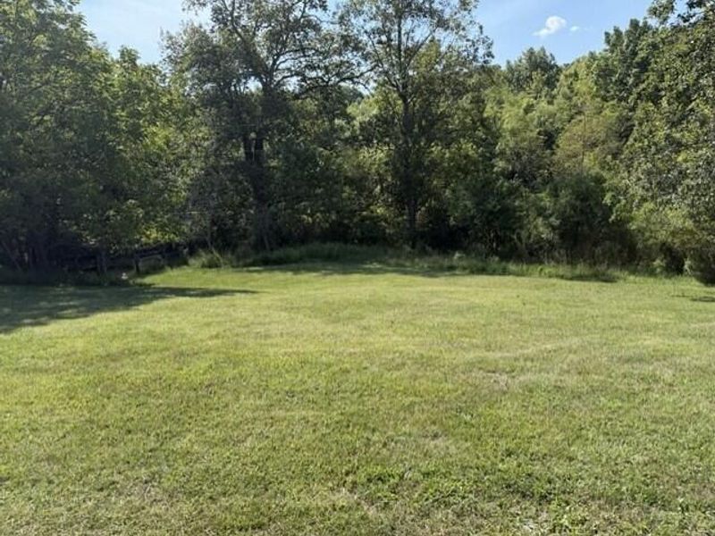 209 Muinn Road, Butler, KY 41006 Photo 10