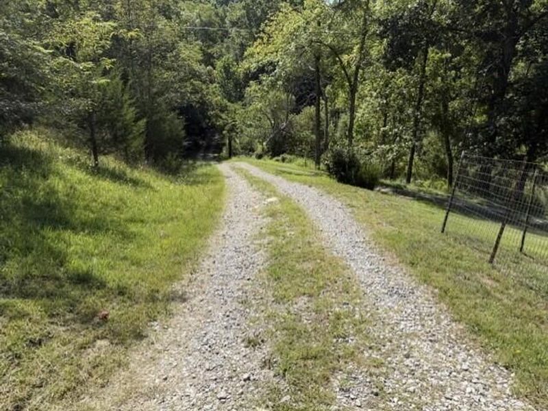 209 Muinn Road, Butler, KY 41006 Photo 13