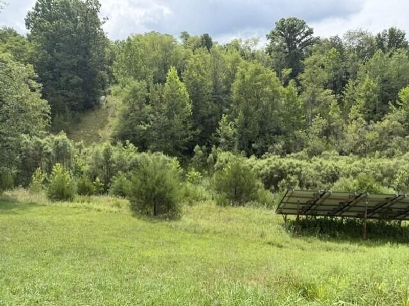209 Muinn Road, Butler, KY 41006 Photo 42