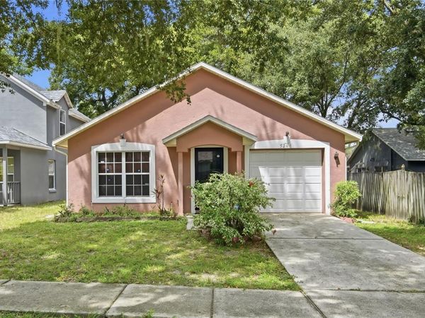 5246 MANGO FRUIT STREET , SEFFNER, FL 33584