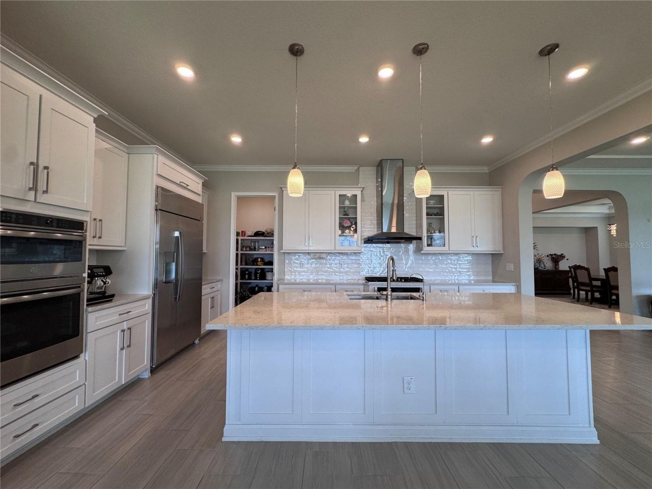 28661 Picana Lane, Wesley Chapel, FL 33543 Photo