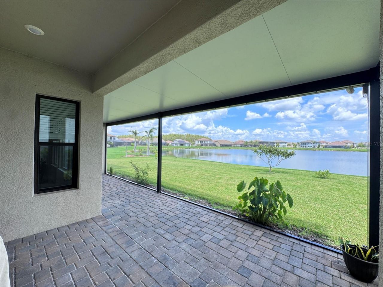 28661 Picana Lane, Wesley Chapel, FL 33543 Photo