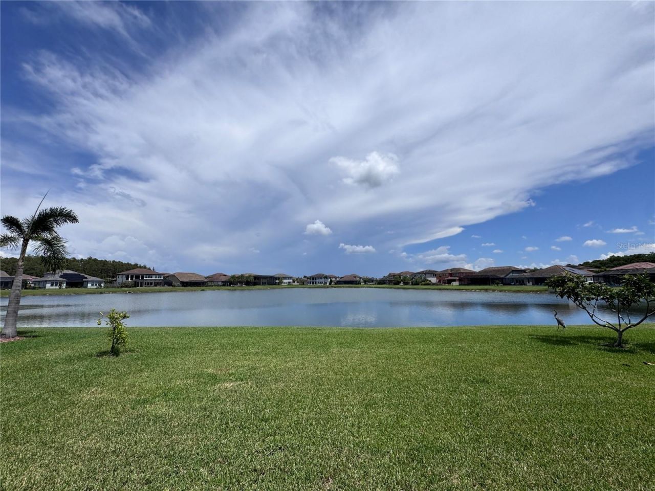 28661 Picana Lane, Wesley Chapel, FL 33543 Photo