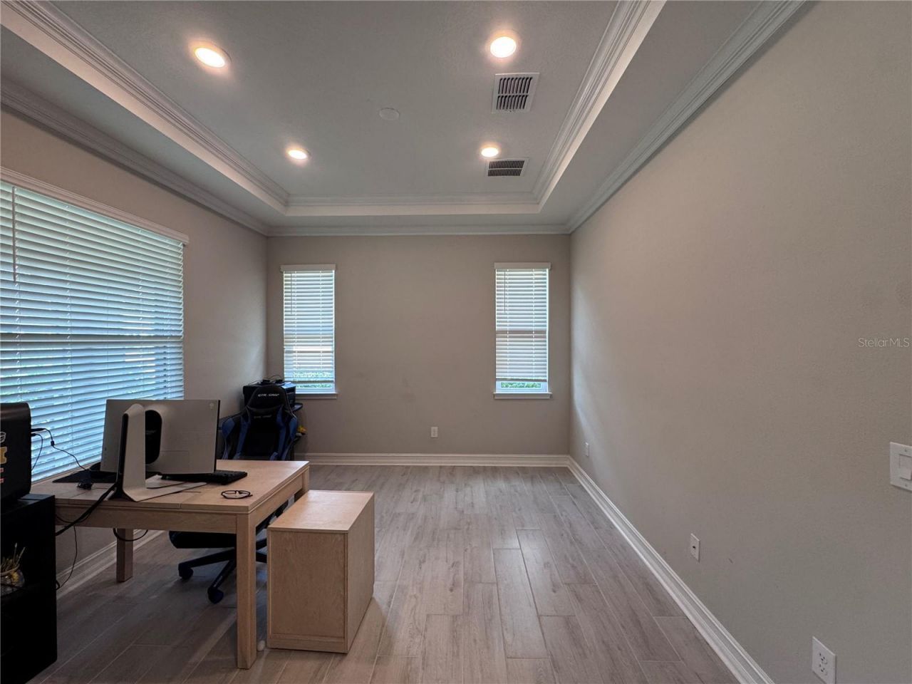 28661 Picana Lane, Wesley Chapel, FL 33543 Photo
