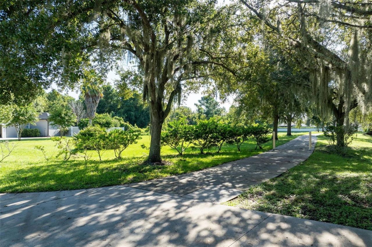441 Sweet Bay Avenue , New Smyrna Beach, FL 32168 Photo