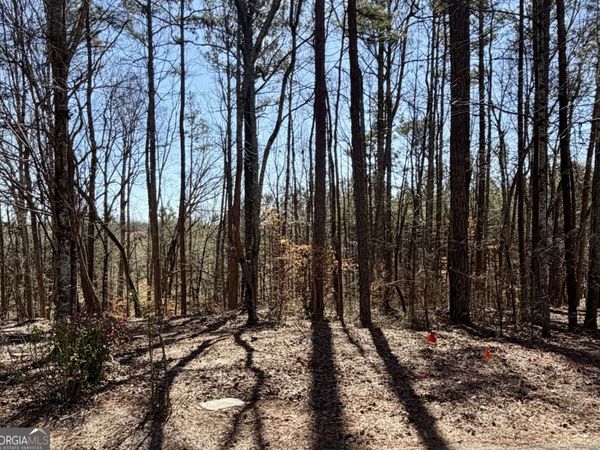 2487 S Carroll Court, Villa Rica, GA 30180