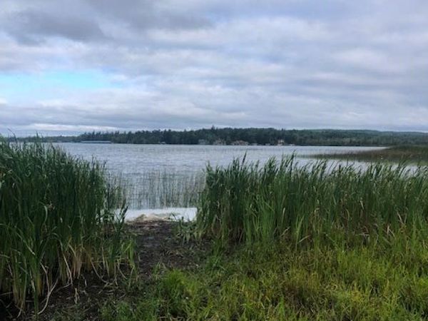 6220 Summerside, Alanson, MI 49706