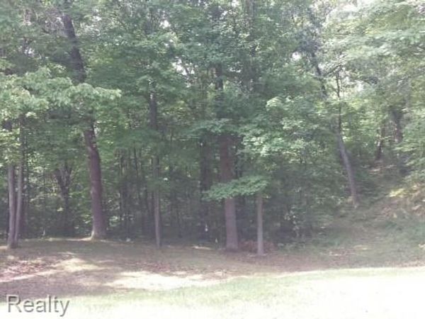 VL Schafer Road , Hamburg Township, Mi 48843