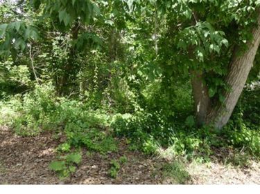 0000 Johnson Drive | Lot 4 , Orion Township, Mi 48362