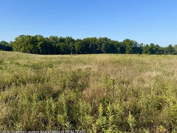 12280 S Wacousta Road, Eagle, MI 48822