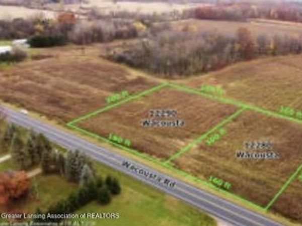 12280 S Wacousta Road, Eagle, MI 48822