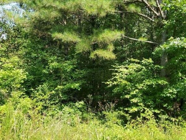 000 Dean Road, Aragon, GA 30104