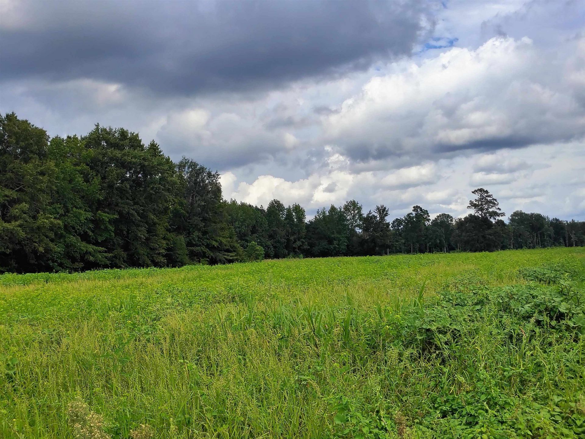Tbd N Old Georgetown Rd. Photo 13