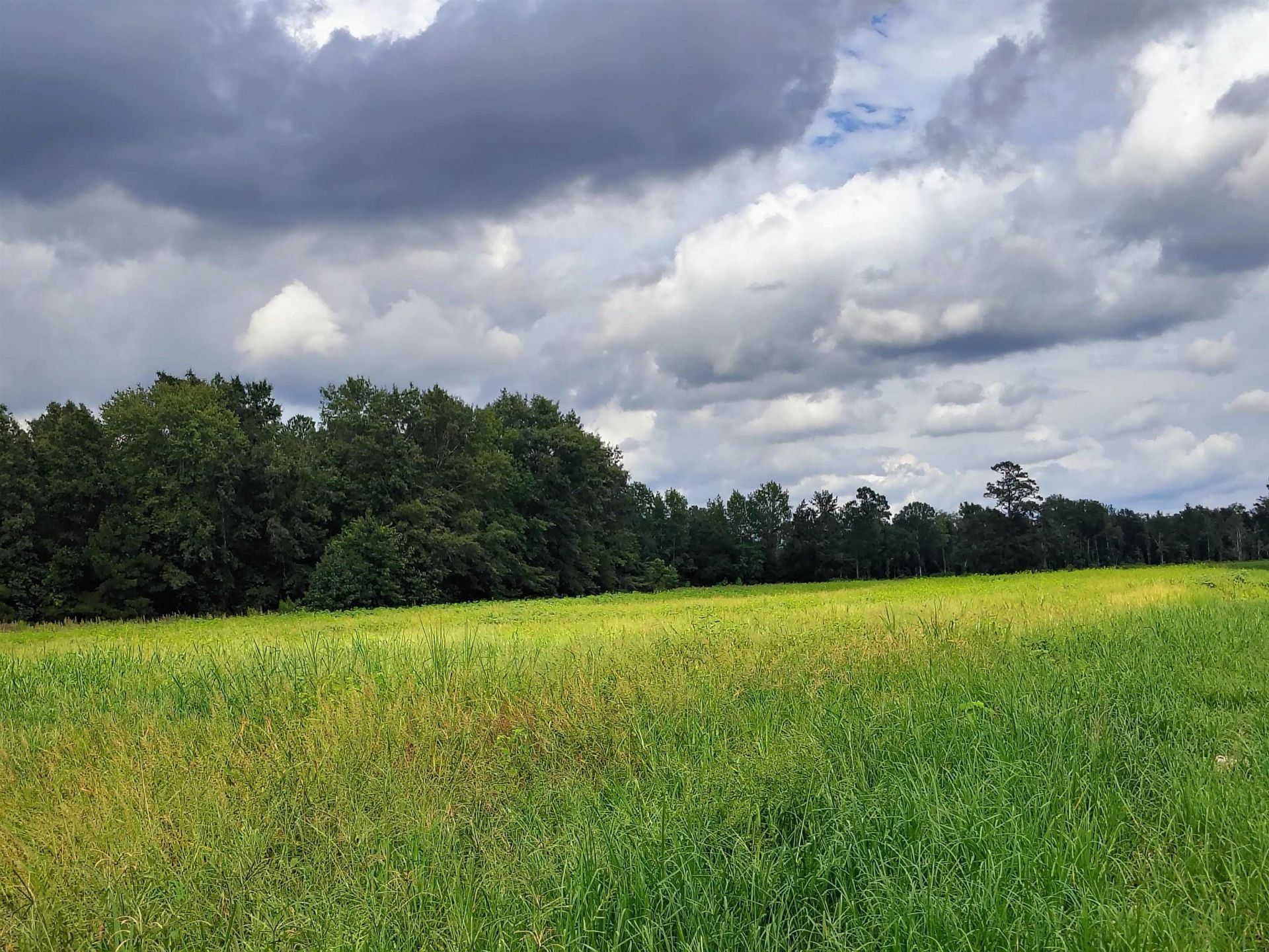 Tbd N Old Georgetown Rd. Photo 14
