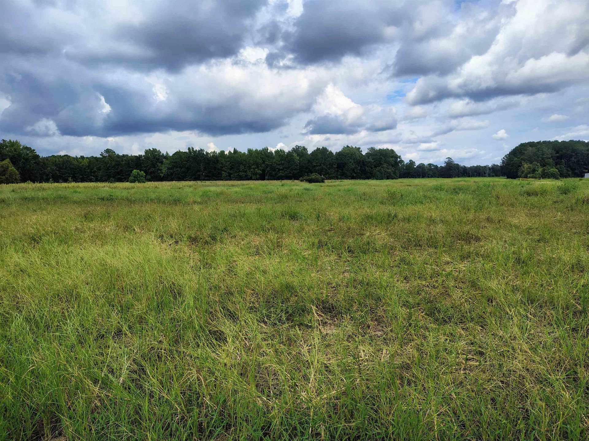 Tbd N Old Georgetown Rd. Photo 6