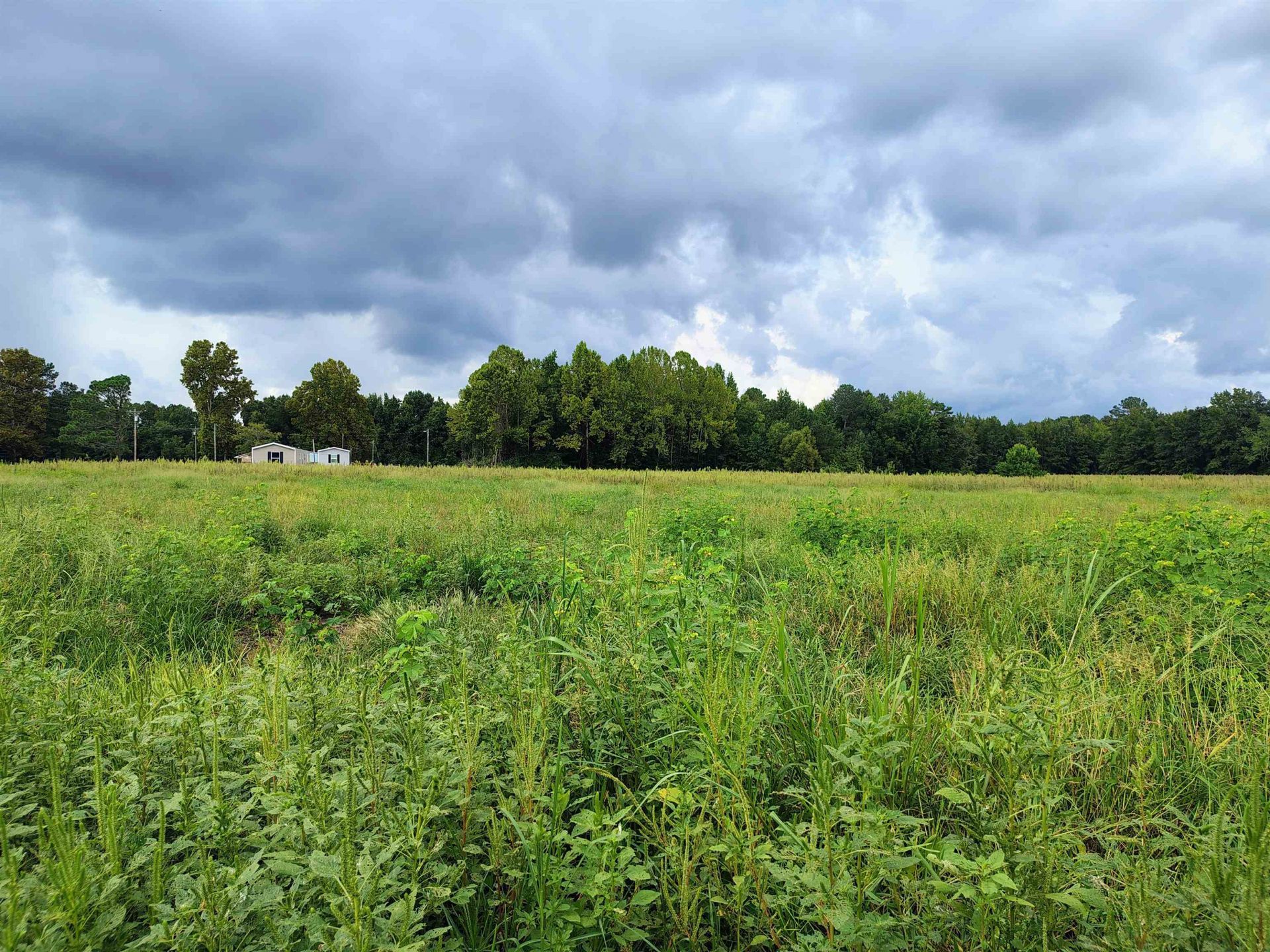 Tbd N Old Georgetown Rd. Photo 7
