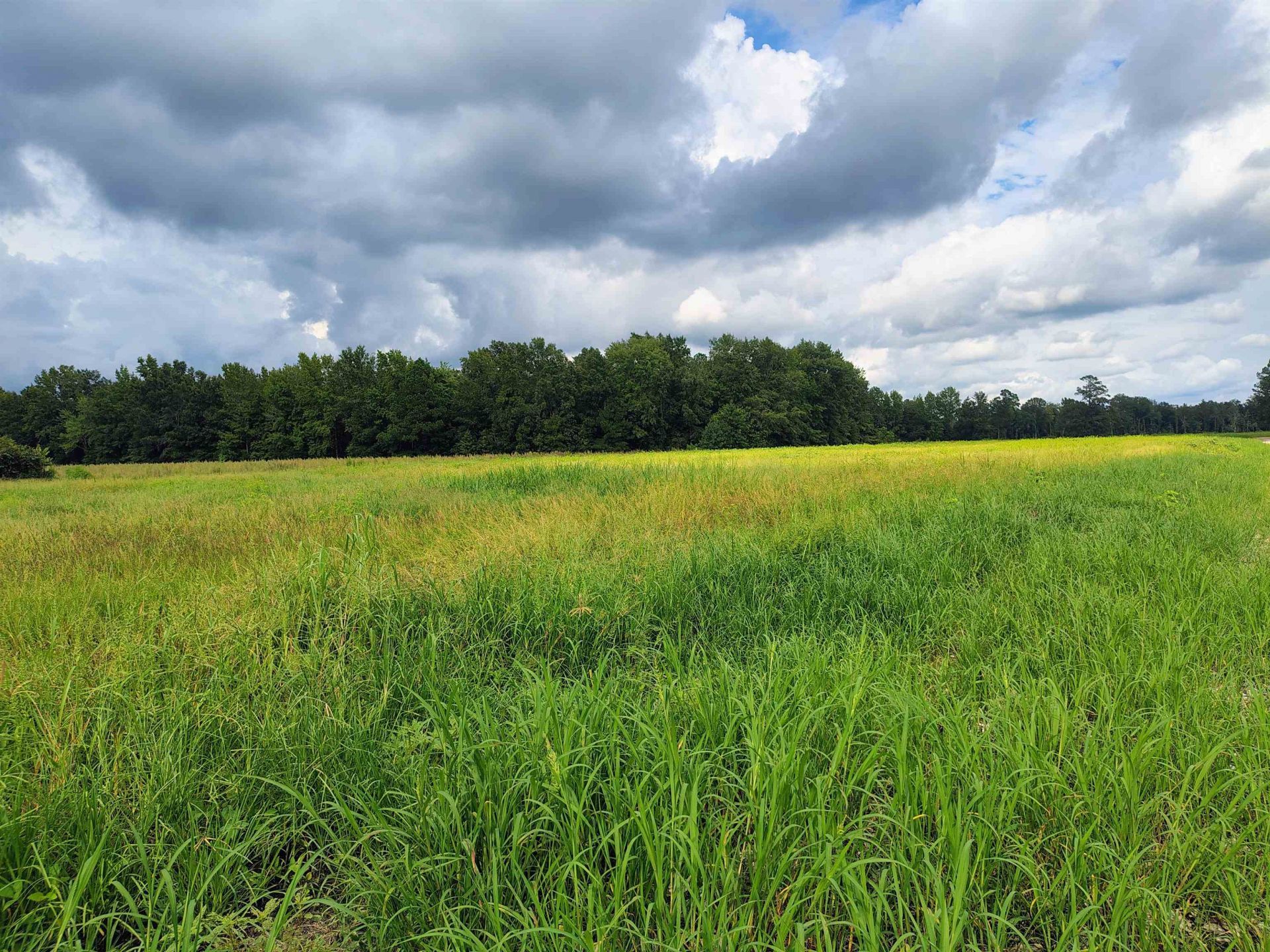 Tbd N Old Georgetown Rd. Photo 8