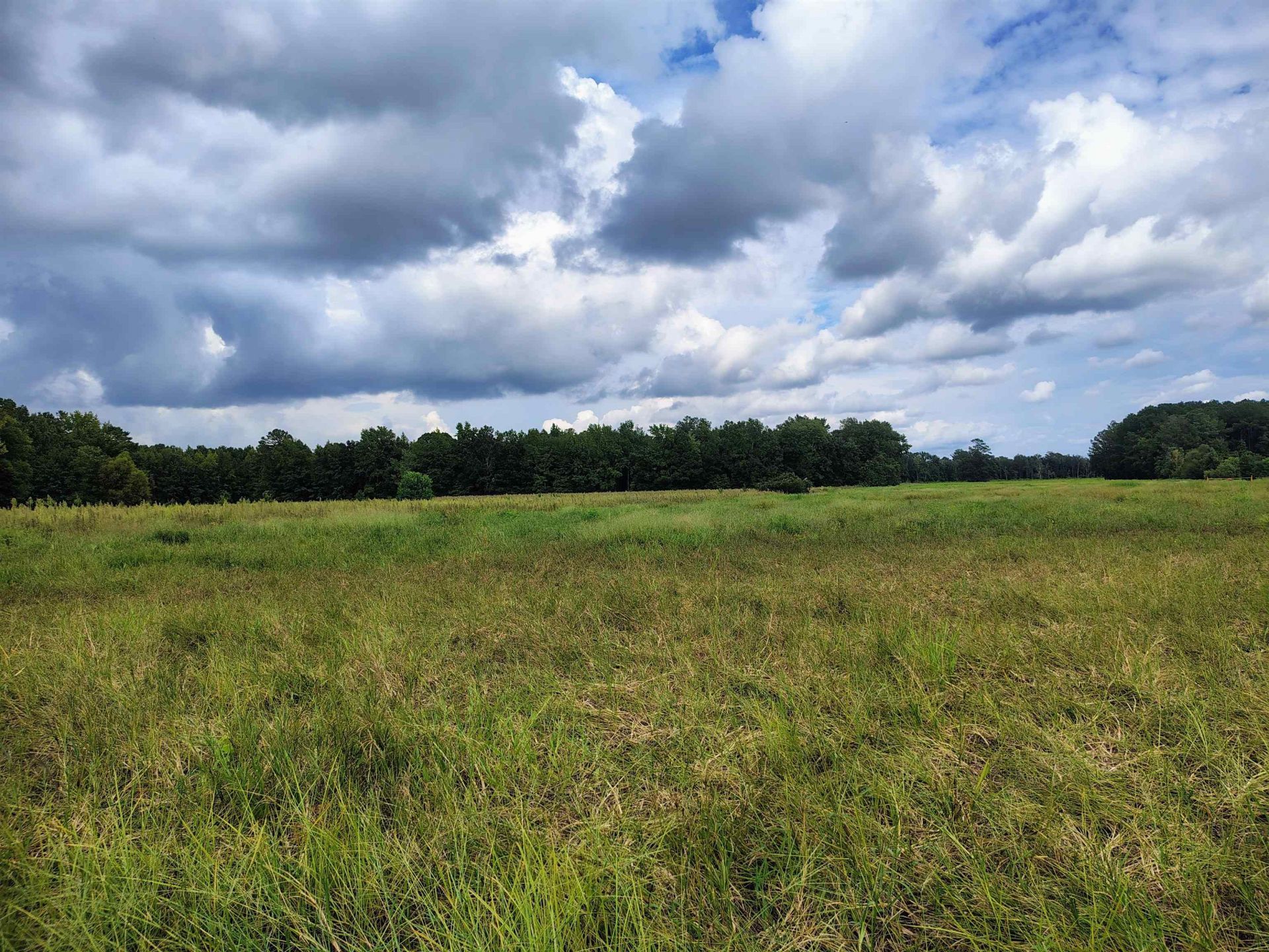 Tbd N Old Georgetown Rd. Photo 9
