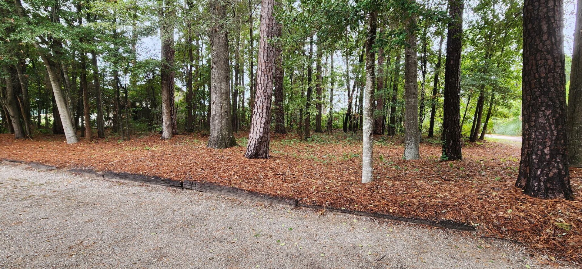 115 Josie Drive Photo 8