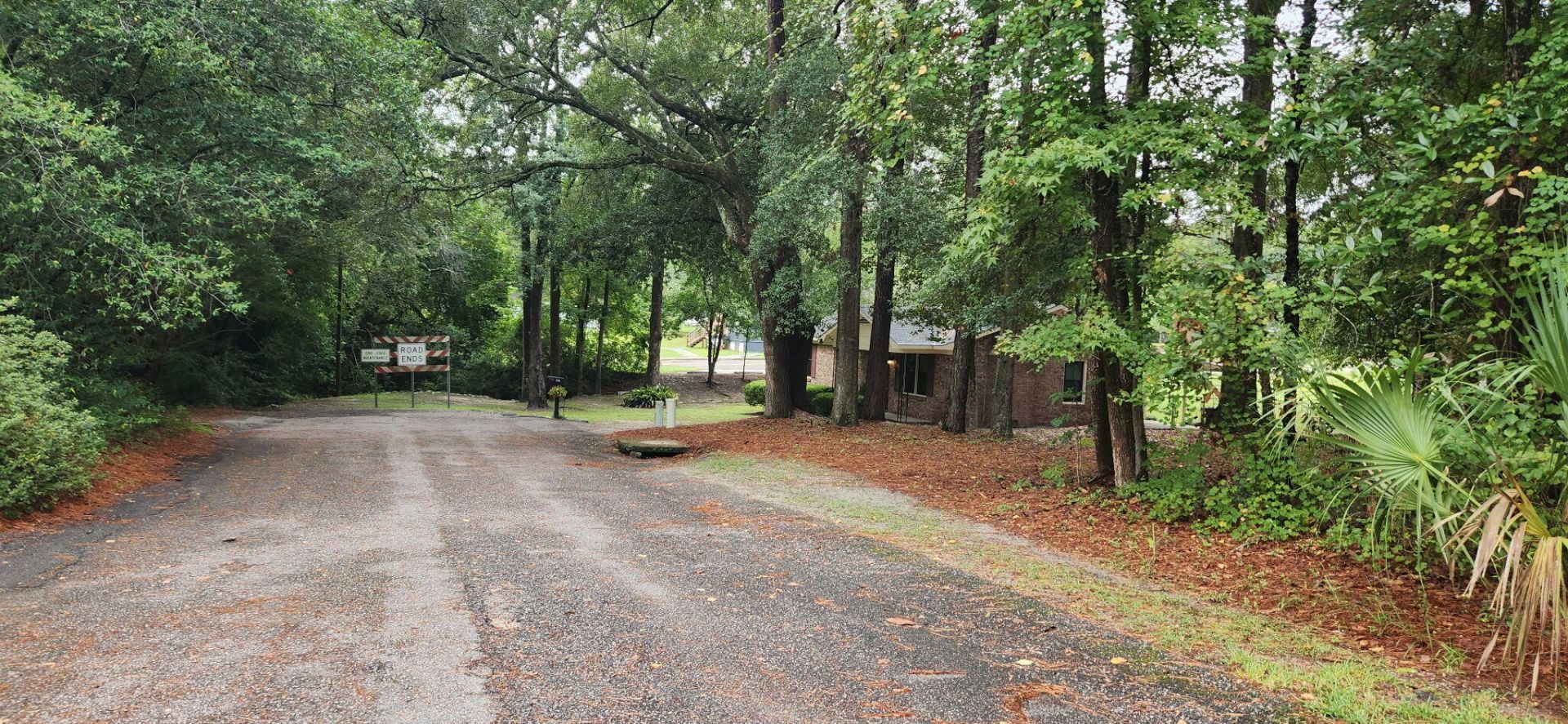 115 Josie Drive Photo 9